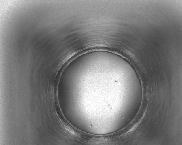 X0000059061113200510212019