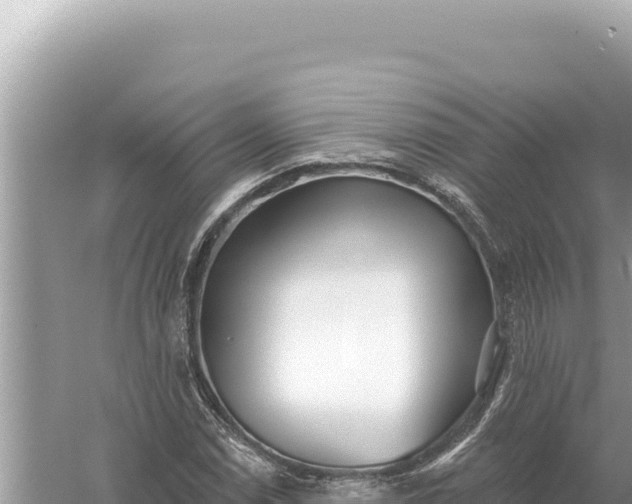 X0000059061114200510212019