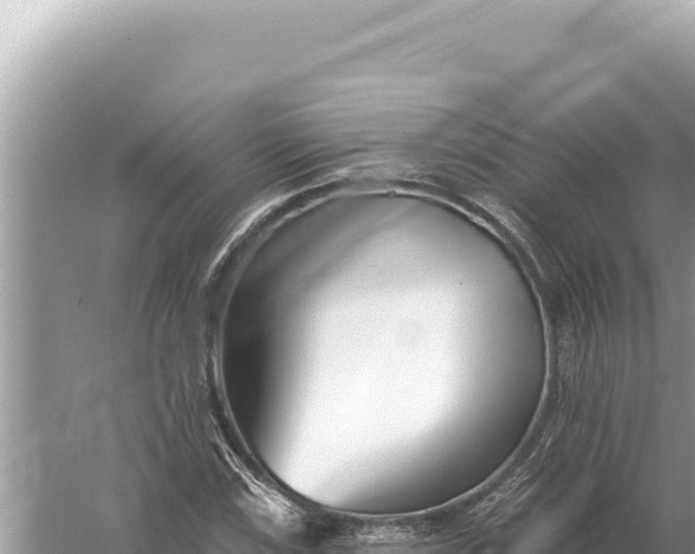 X0000059061115200510212019