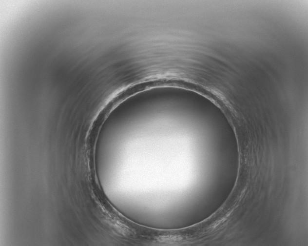 X0000059061118200510212019