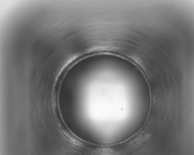 X0000059061119200510212019