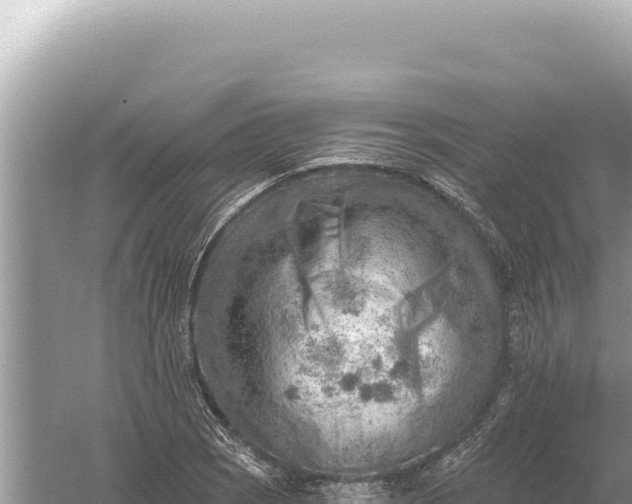 X0000059061121200510212019