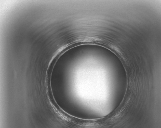 X0000059061122200510212019