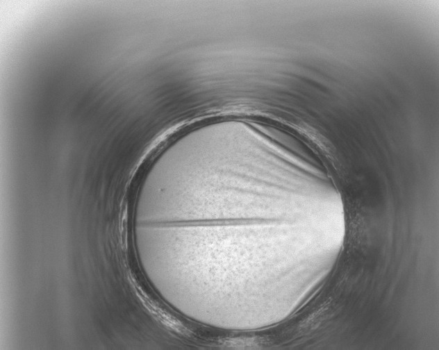 X0000059061126200510212019