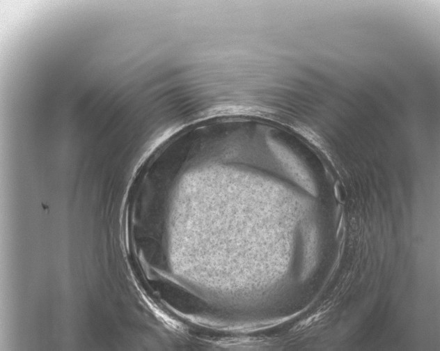 X0000059061127200510212019