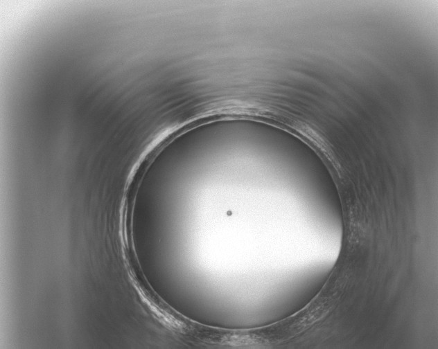 X0000059061128200510212019