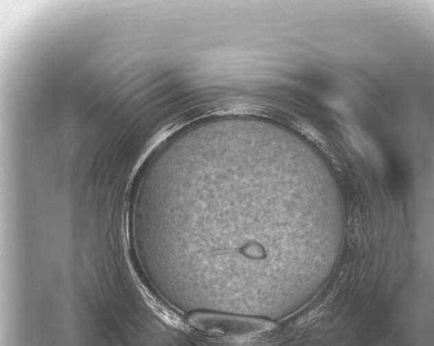 X0000059061130200510212019