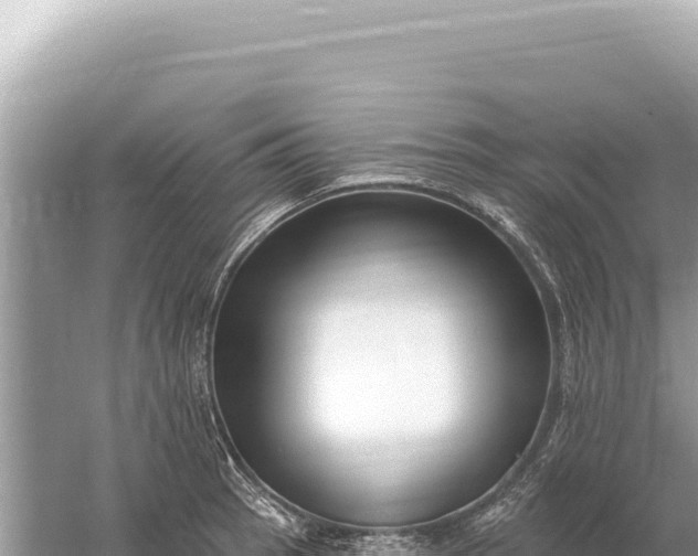 X0000059061137200510212019