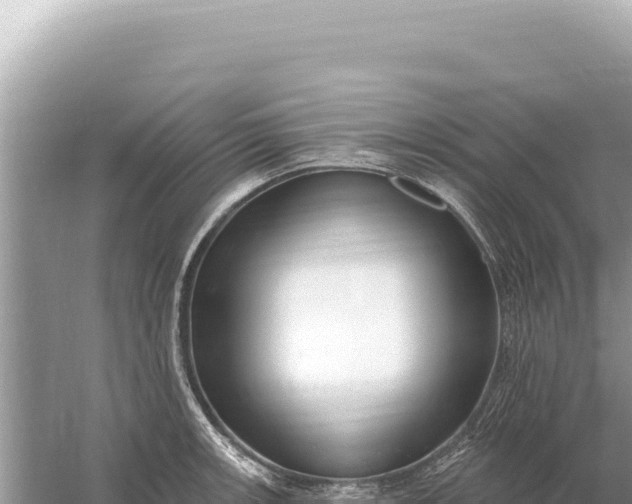 X0000059061139200510212019