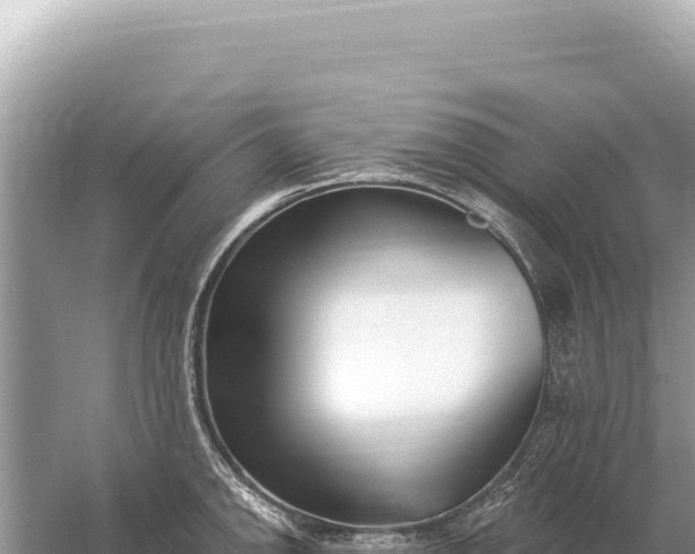 X0000059061142200510212019