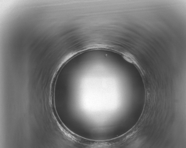 X0000059061143200510212020