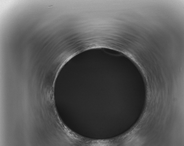 X0000059061145200510212020