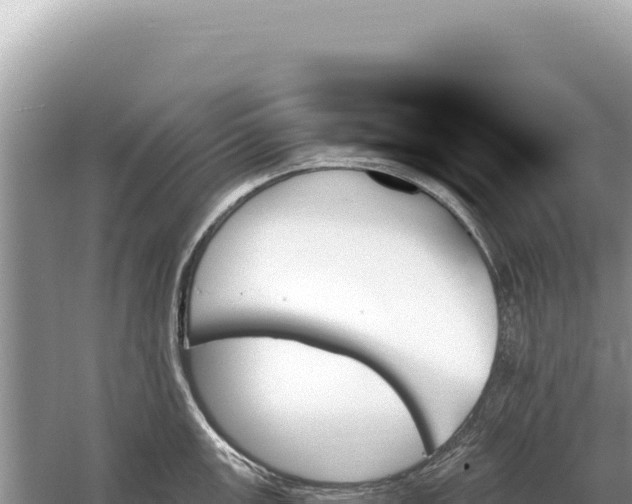 X0000059061147200510212020