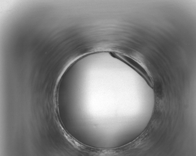 X0000059061148200510212020