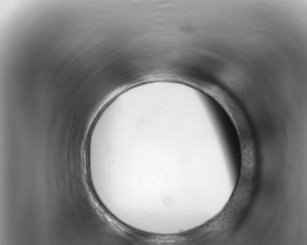 X0000059061150200510212020