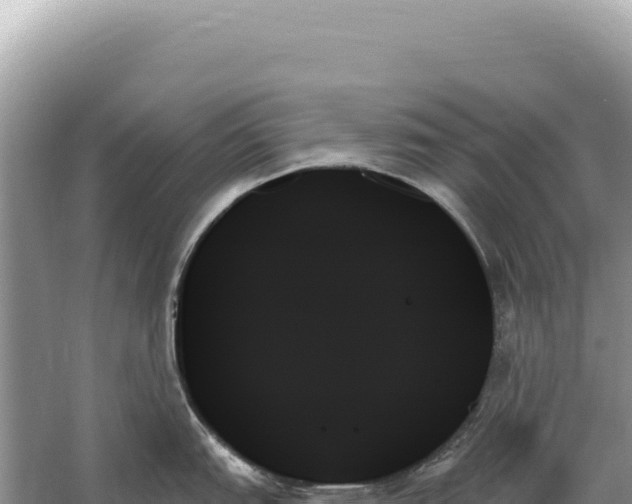 X0000059061151200510212020