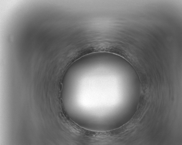 X0000059061153200510212019