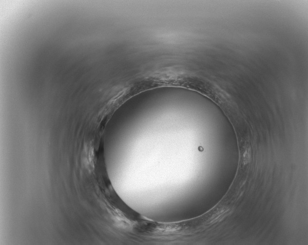 X0000059061156200510212019