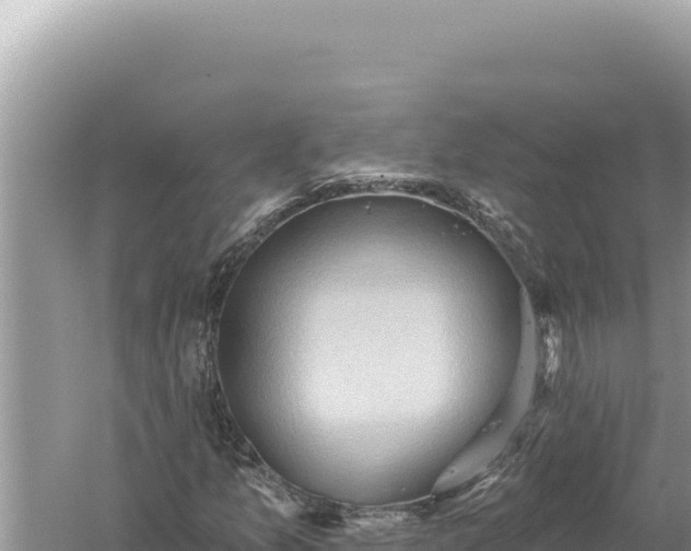 X0000059061157200510212019