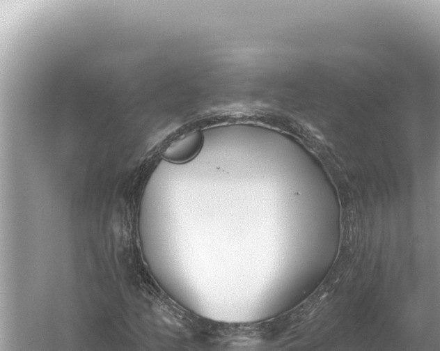 X0000059061158200510212019