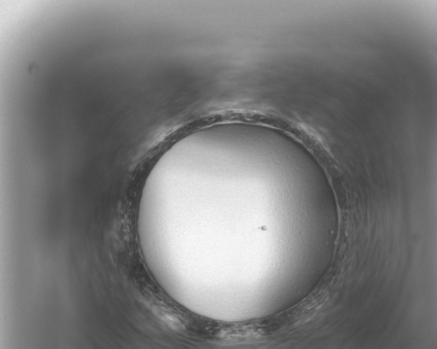 X0000059061159200510212019