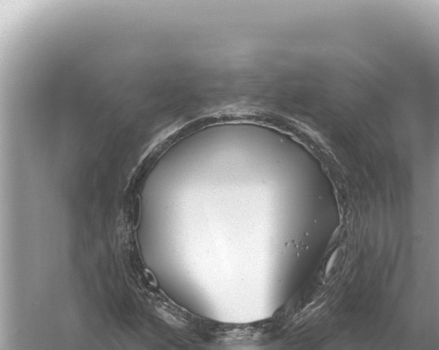 X0000059061160200510212019