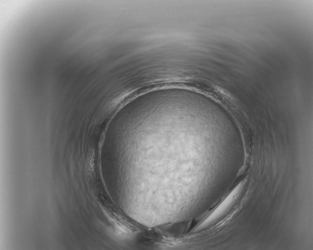 X0000059061161200510212019