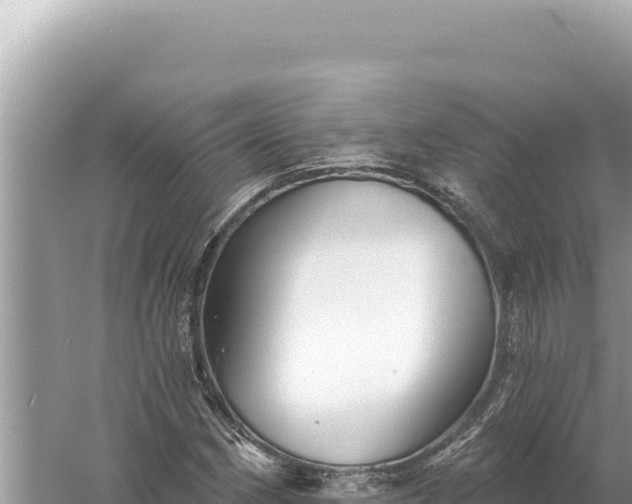 X0000059061162200510212019