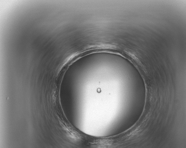 X0000059061163200510212019