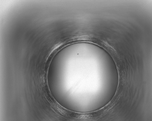 X0000059061166200510212019