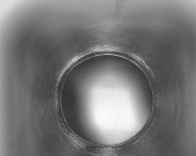 X0000059061167200510212019