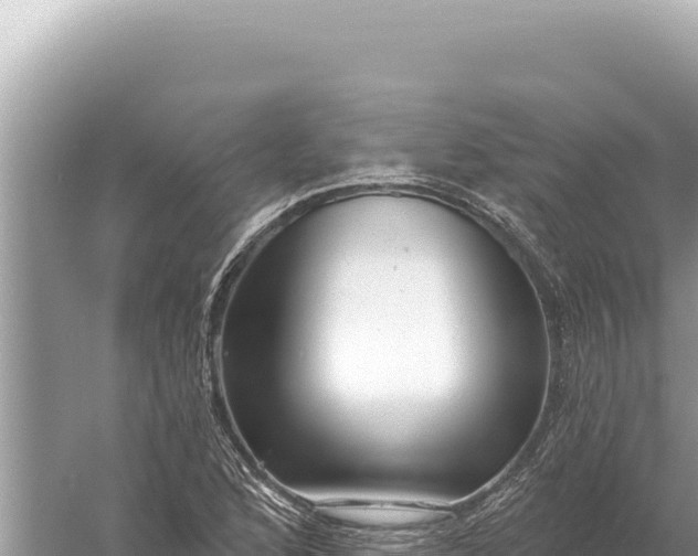 X0000059061168200510212019