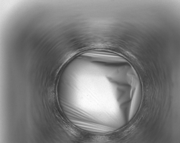 X0000059061170200510212019