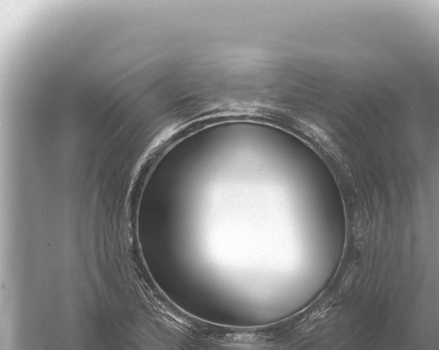 X0000059061172200510212019