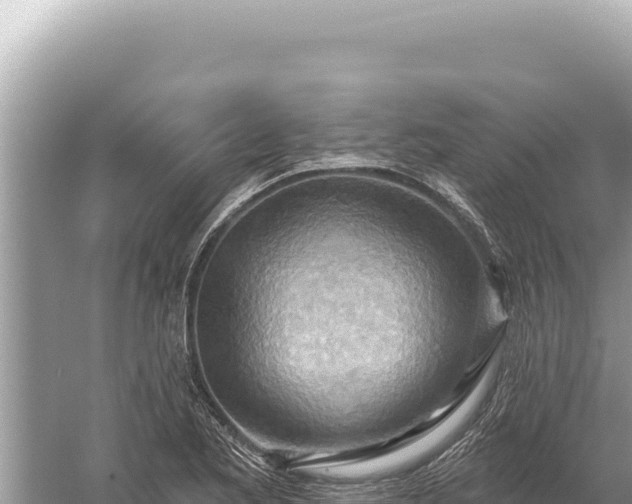 X0000059061173200510212019