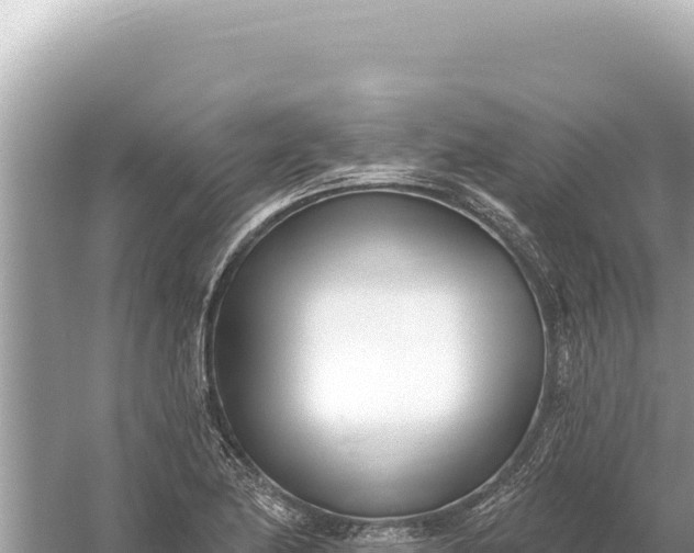 X0000059061174200510212018