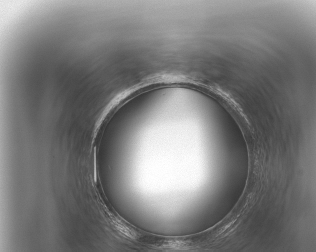 X0000059061175200510212018