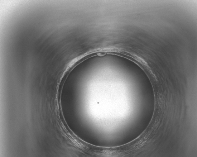 X0000059061176200510212018