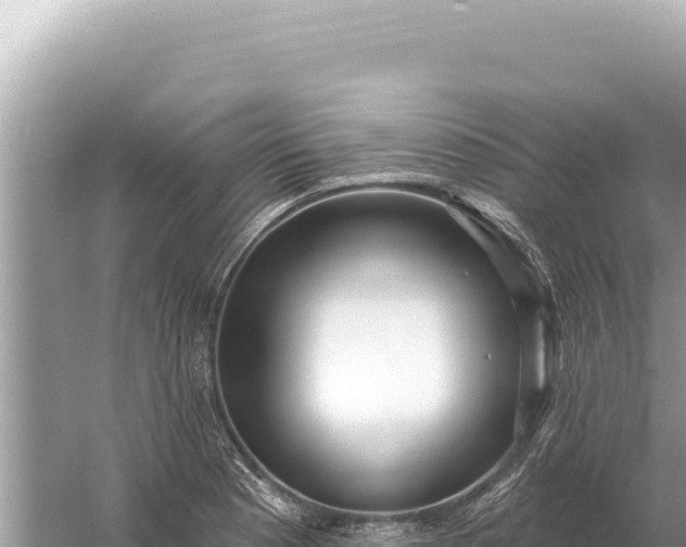 X0000059061177200510212018