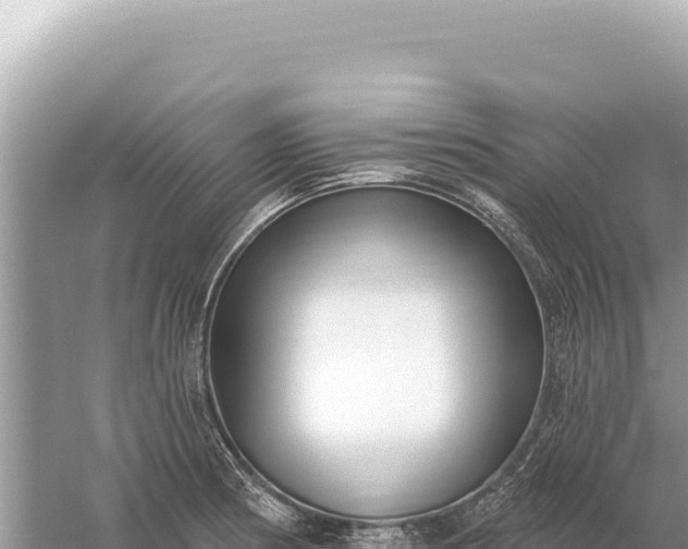 X0000059061186200510212018