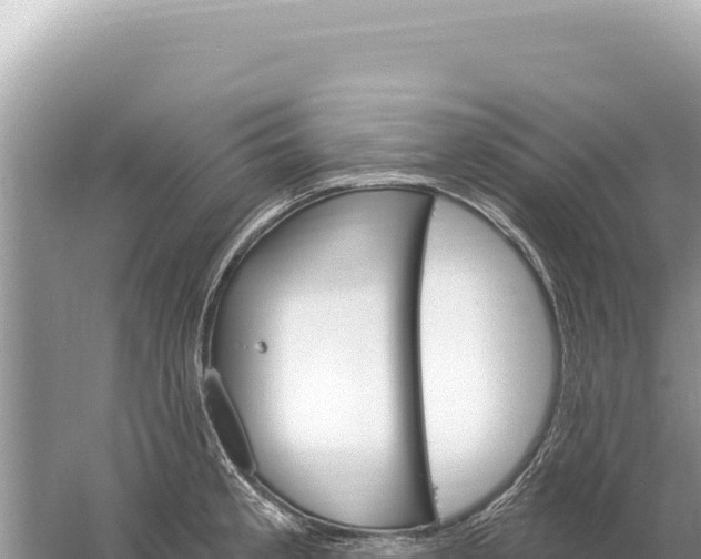 X0000059061189200510212018