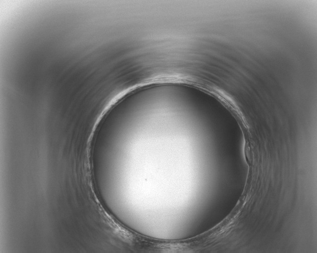 X0000059061192200510212018