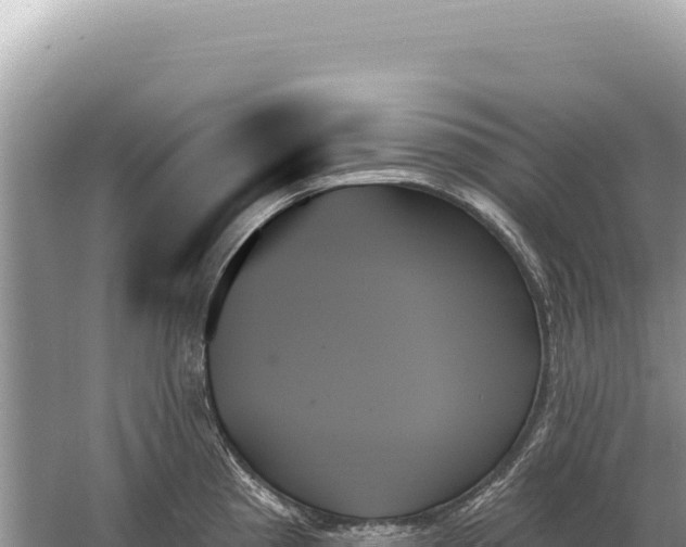 X0000059061193200510212018