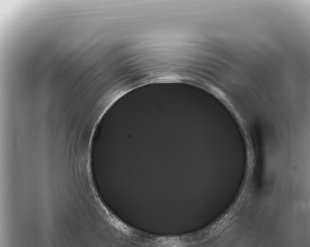 X0000059061194200510212018