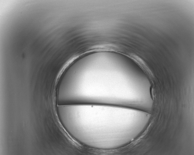 X0000059061196200510212018