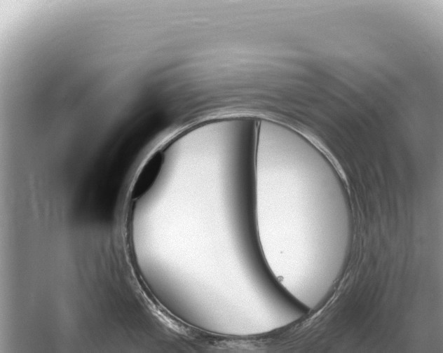 X0000059061197200510212018