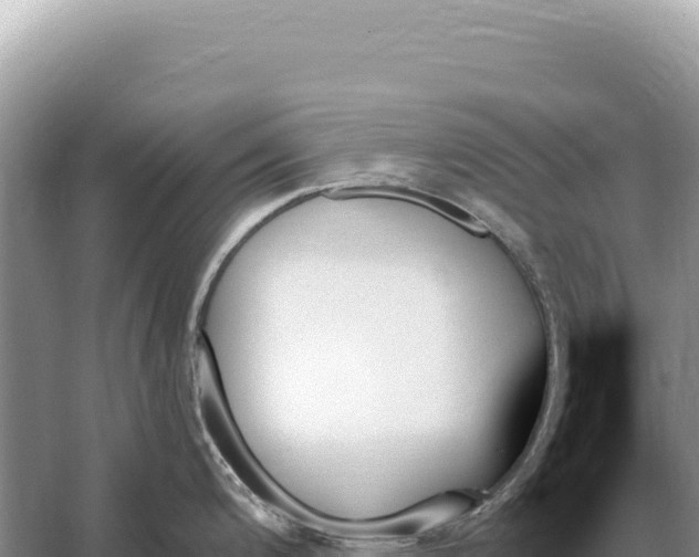 X0000059061200200510212018