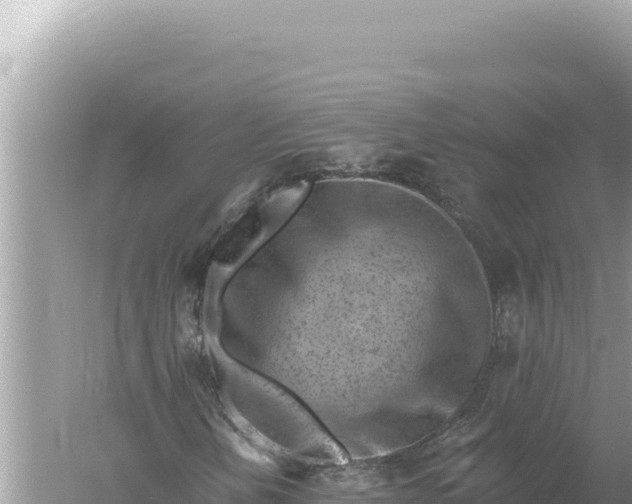 X0000059061202200510212017