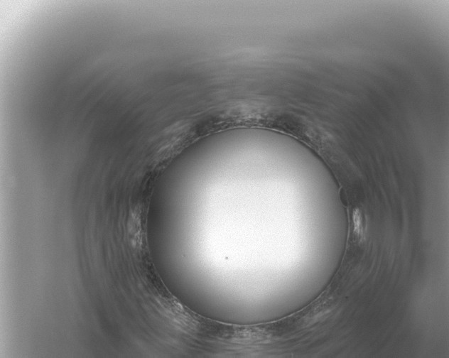 X0000059061203200510212017