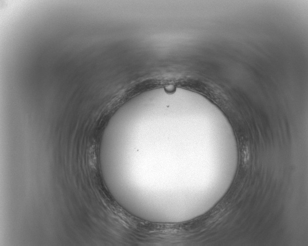 X0000059061204200510212017